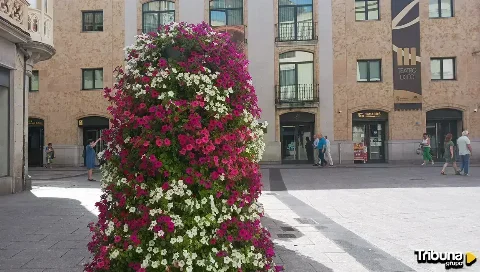 Planes culturales para este fin de semana en Salamanca 